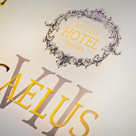 Boutique Caelus Vii 3*