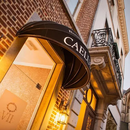 Otel Boutique Caelus Vii Tongeren