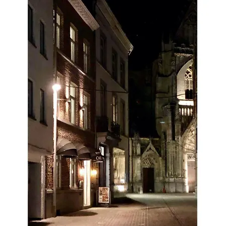 Boutique Caelus Vii